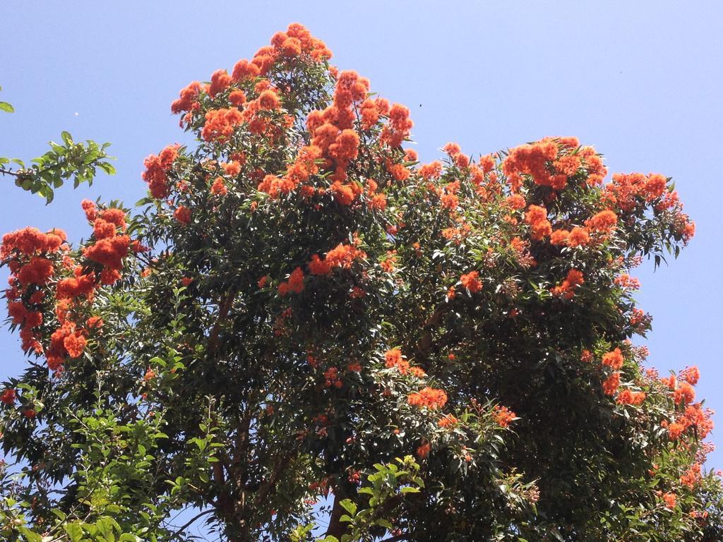 Valle Paraizo カマシャ エクステリア 写真