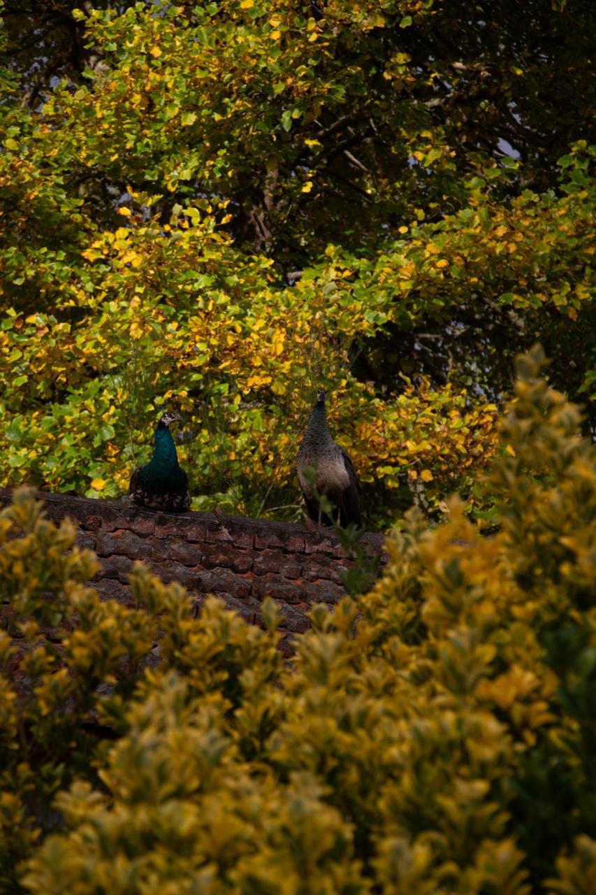 Valle Paraizo カマシャ エクステリア 写真
